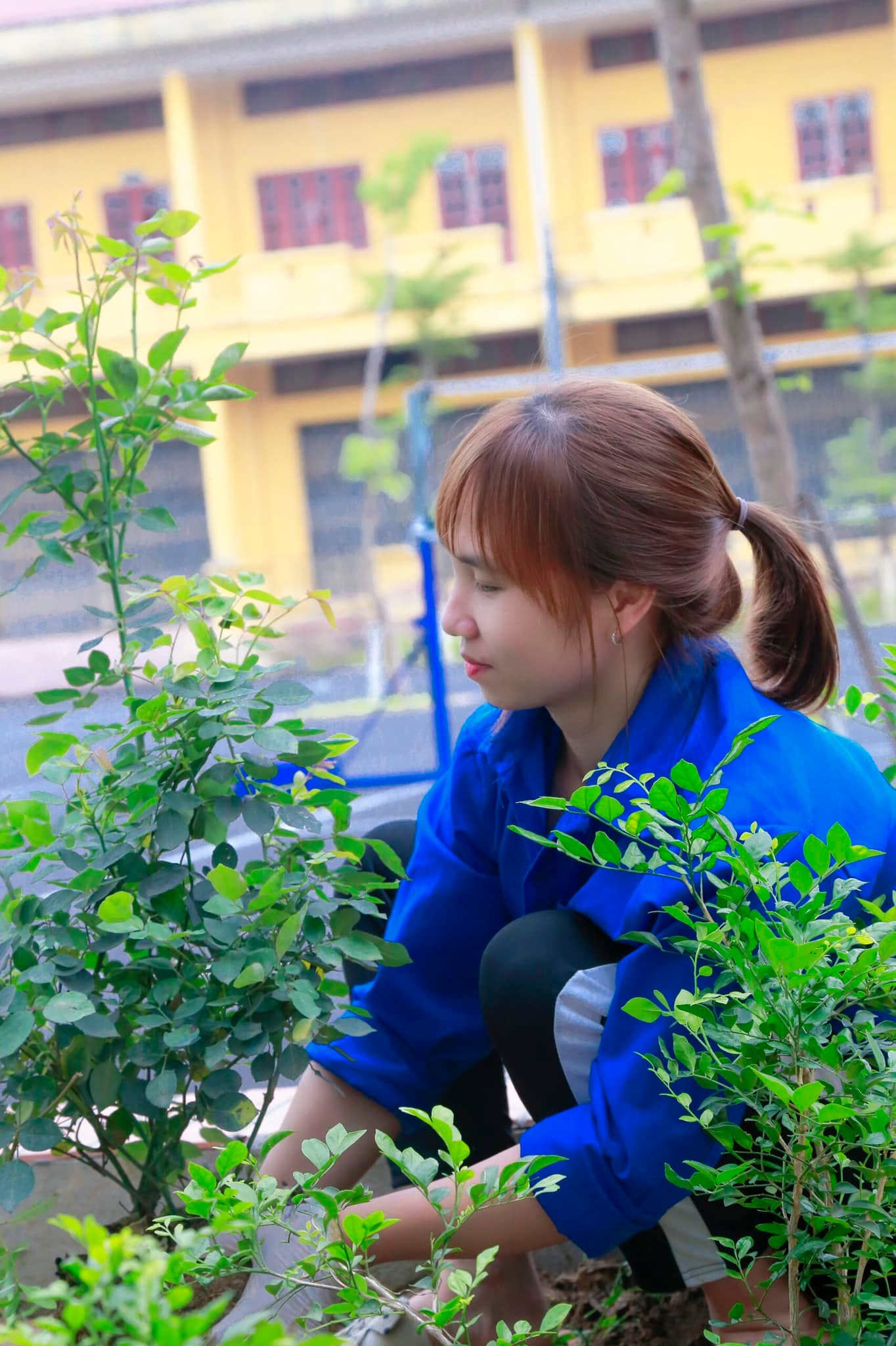 Kết Nối Cộng Đồng: Cách BCI Lan Tỏa Tinh Thần Sống Xanh Ra Ngoài Khuôn Viên