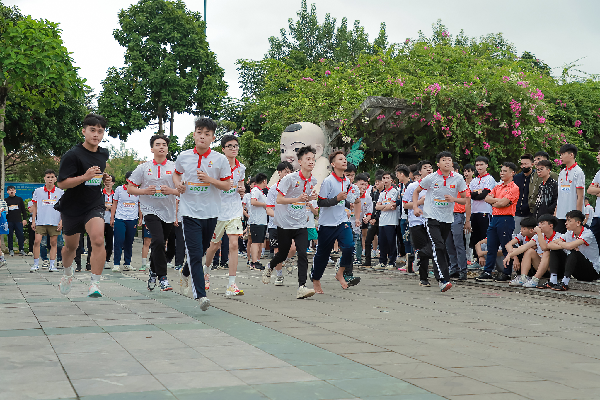 GIẢI CHẠY VIỆT DÃ 