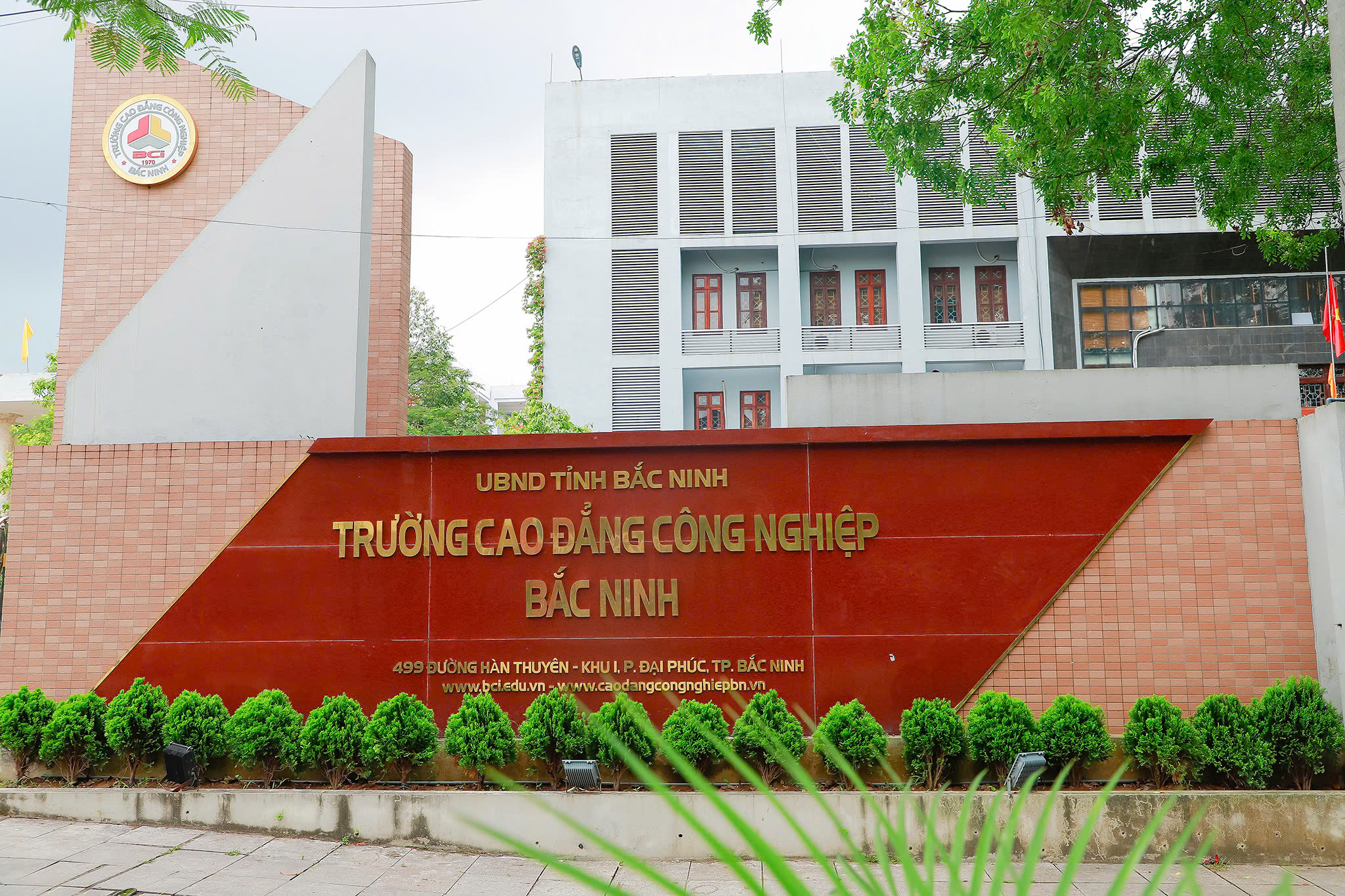 BCI: Khẳng định vị thế Đơn vị học tập cấp tỉnh và Chuyển đổi xanh quốc tế